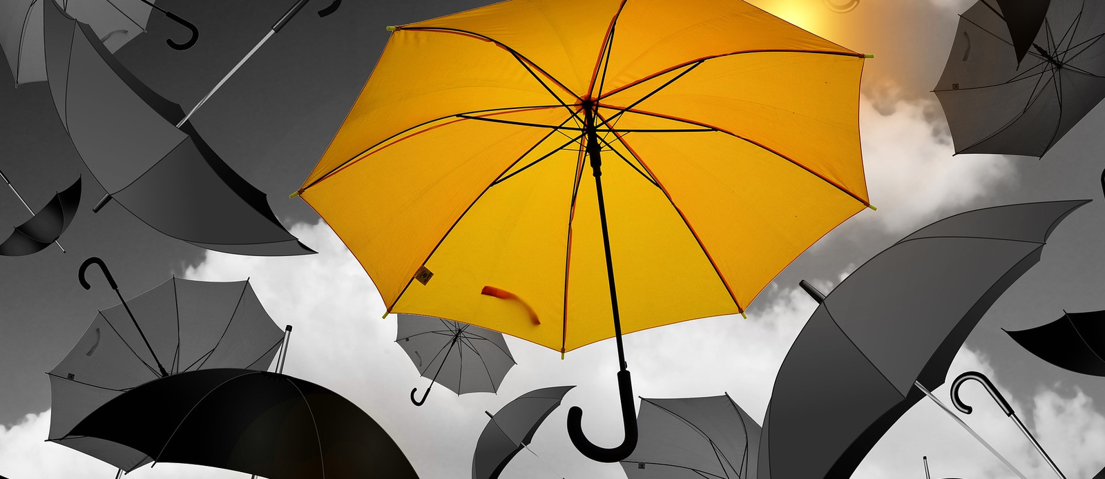 umbrella insurance.